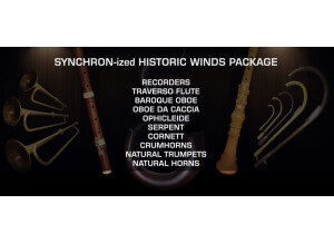 VSL (Vienna Symphonic Library) Synchron-ized Historic Winds Packs