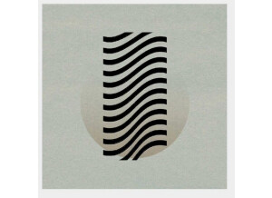 Wrongtools Down by law