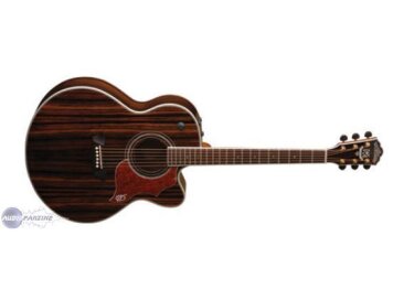 Washburn J27CE