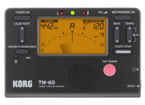 Korg TM-60