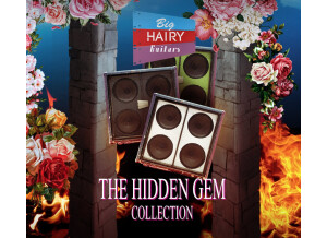 Two Notes Audio Engineering BHG - Hidden Gem Collection