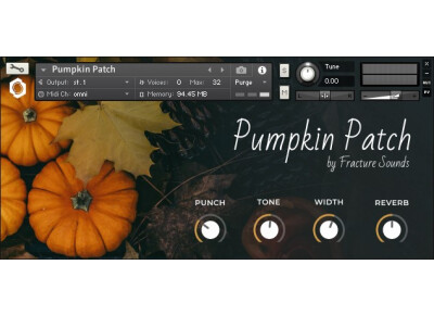 Fracture Sounds Pumpkin Patch