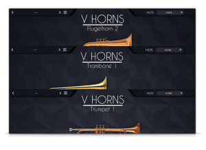 AcousticSamples VHorns Brass Section