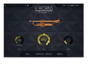 AcousticSamples VHorns Trumpet