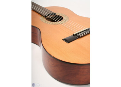 Rodriguez caballero11