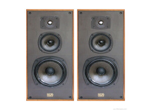 Celestion ditton DL10