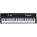 See the photo of the Fatar / Studiologic SL-1100 Fatar / Studiologic SL-1100