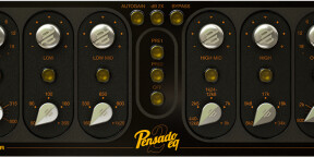 Vends acustica Pensado 2