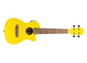 Ortega Earth Concert Ukulele CE