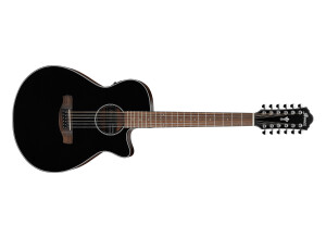 Ibanez AEG5012