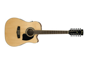 Ibanez PF1512ECE
