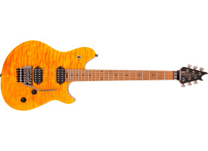 EVH Wolfgang WG Standard QM