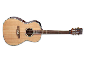 Takamine GY51E