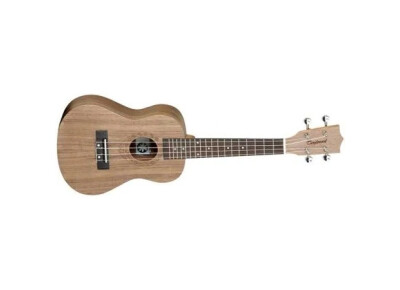 Tanglewood Tiare T3