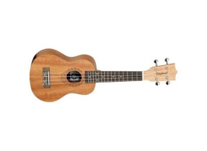 Tanglewood Tiare T1