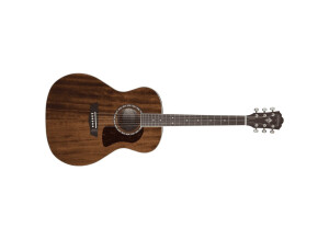 Washburn Heritage G12S
