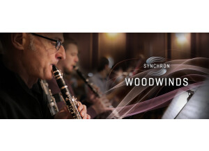 VSL (Vienna Symphonic Library) Synchron Woodwinds