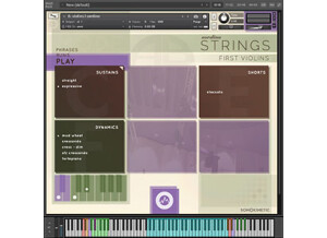 Sonokinetic Sordino Strings