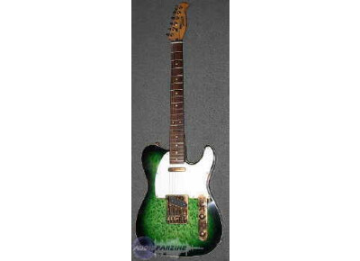 Fenix by Young Chang Telecaster