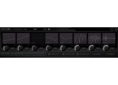 FKFX Noise Bleach