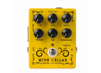 Caline CP-60 Wine Cellar