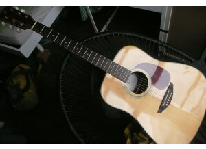 Elypse Guitars HW41-13N