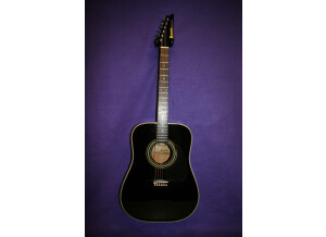 Ibanez LS300