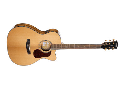 Cort Gold-OC6 Bocote