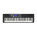 Voir la photo du Casio CT-S500 Casio CT-S500