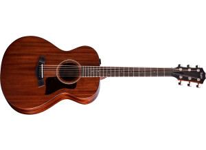 Taylor AD22e