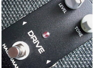 Hagerman Amplification Drive