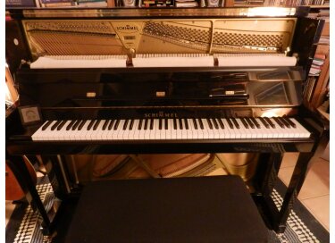 Schimmel Konzert 122