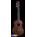 See the photo of the Fender Ukulele Hau'oli - All Laminate Fender Ukulele Hau'oli - All Laminate