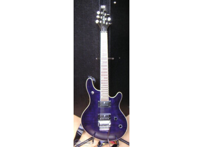 Washburn BT10