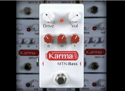 Karma Guitar Amplifiers MTN-Bass