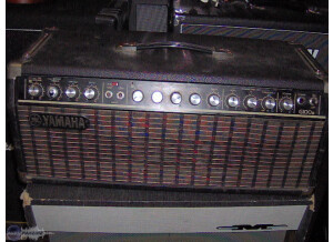 Yamaha G100 II