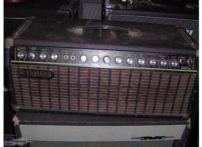 Yamaha G100 II