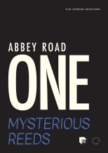 Spitfire Audio Abbey Road One: Mysterious Reeds