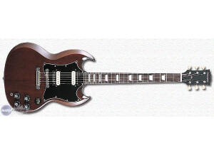 Edwards E-SG-80D_WN