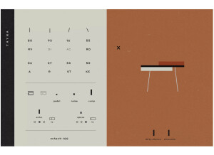 Elementary Sounds Tayna