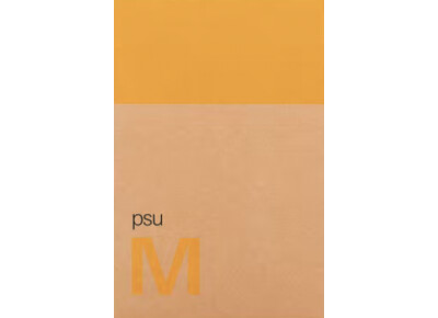 Teenage Engineering POM-15 psu