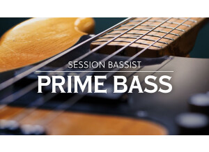 Native Instruments Prime Bass