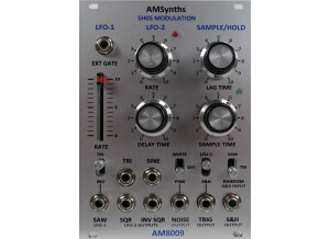 AMSynths AM8009