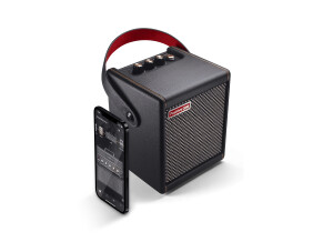 Positive Grid Spark MINI