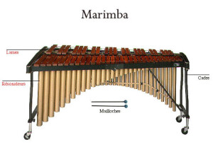 Concorde Marimba