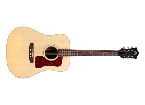 Guild USA D-40E Standard