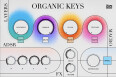 Découvrez Organic Keys d'UVI