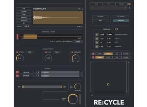Digital Brain Instruments Re:Cycle