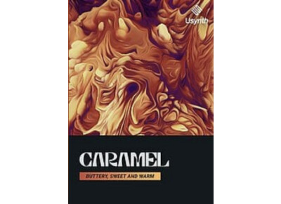 Ujam Usynth Caramel