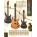 Ibanez SC620